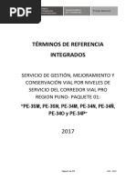 TdR_PRO REGION PUNO_Paquete 01.pdf