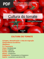 Cultura Do Tomate Aula