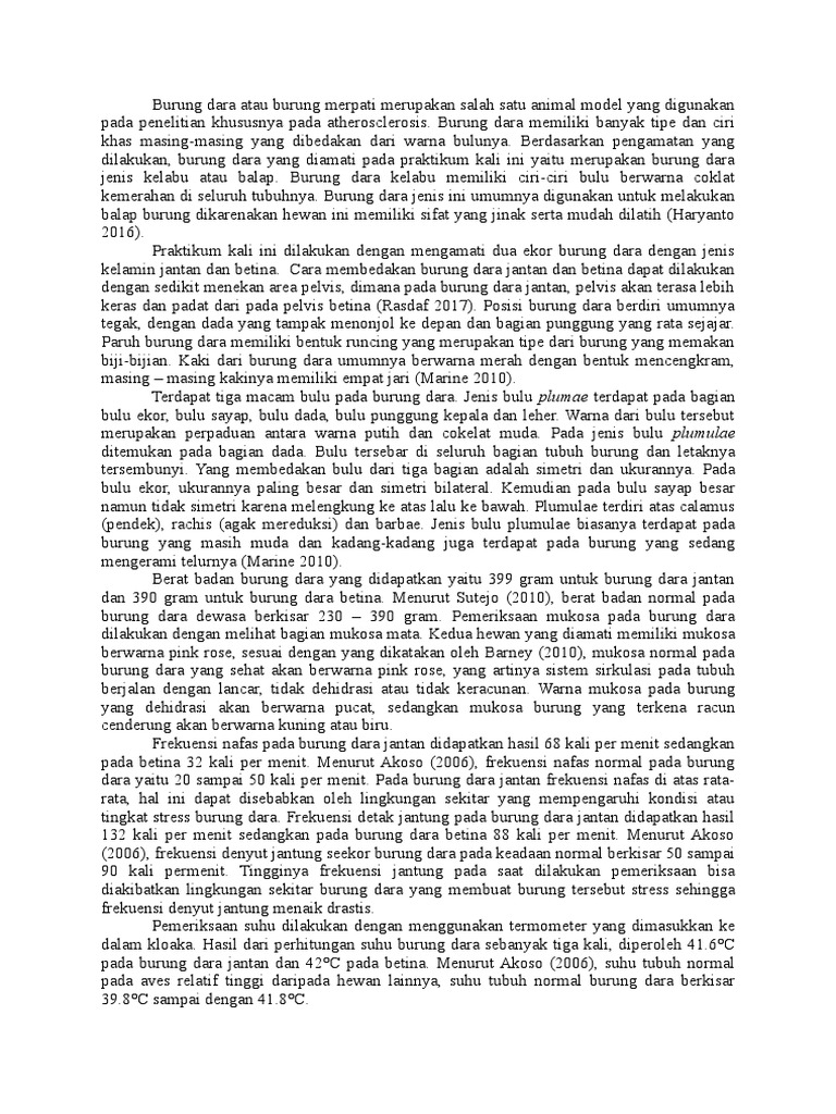 Pembahasan Burung Dara Docx