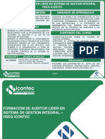 Auditor Lider HSEQ PDF