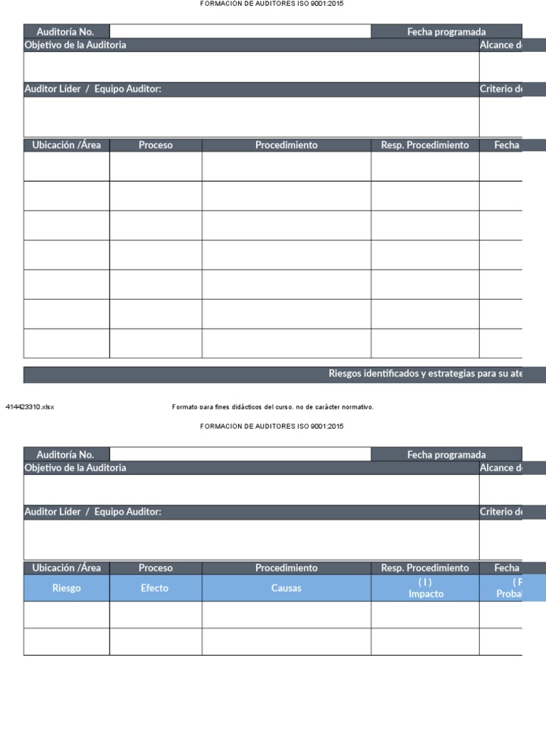 Plantilla Plan Auditoria Interna de Calidad ISO 9001 2015 | PDF ...
