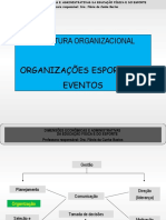 2015 9 ESTRUTURA ORGANIZACIONAL.ppt