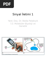 Hücre Biyolojisi 2 / Sinyal İletimi 1