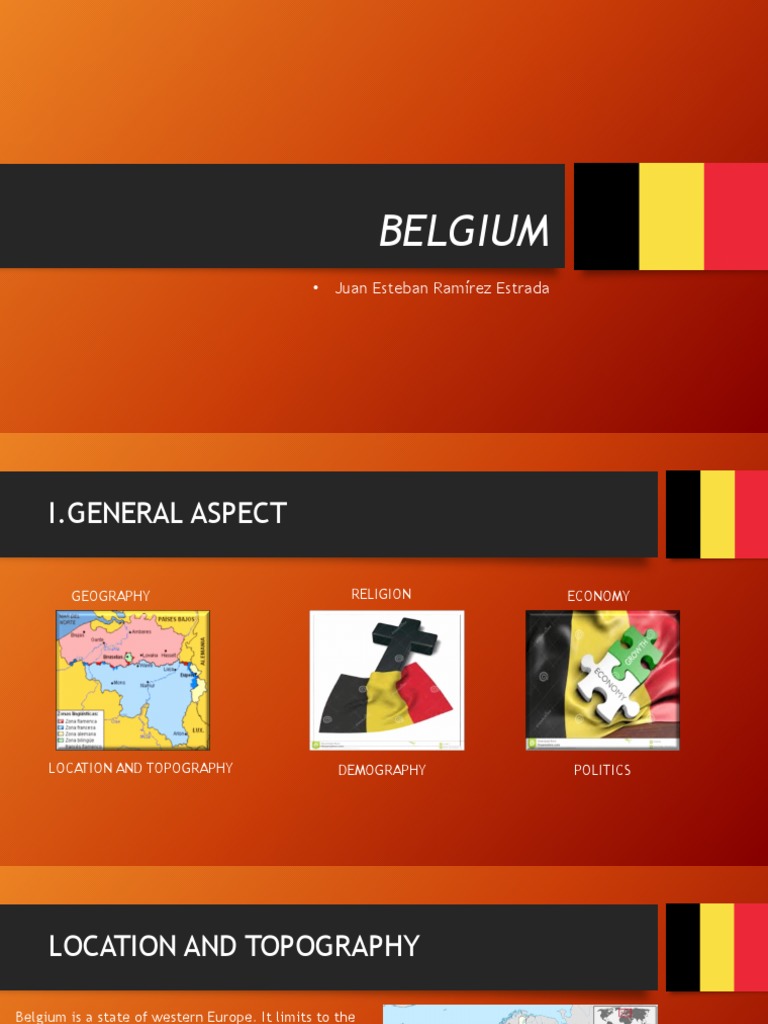BELGICA PDF Belgium Taxes
