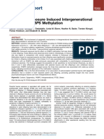 Holocaust Exposure Induced IntergenerationalEffects on FKBP5 Methylation