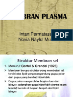 Membran Plasma