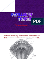 Papillae of Tongue