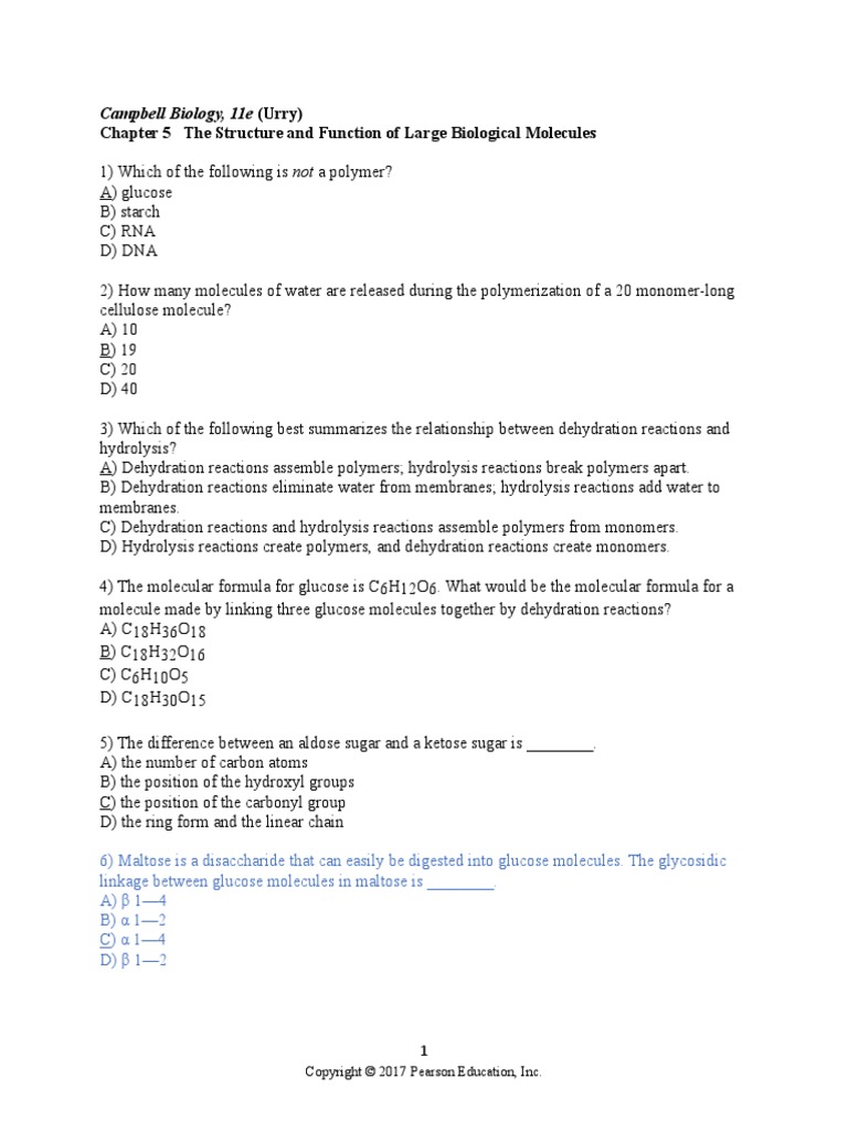 Chapter 5 The Structure and Function of Large Biological Molecules