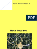 Upload 9.06 Nerve Impulse Notes To Ebackpack