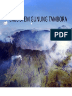 Ekosistem Gunung Tambora PP