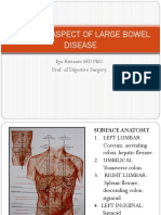 3. SURGICAL ASPECT OF LARGE BOWEL. PPTX.pdf