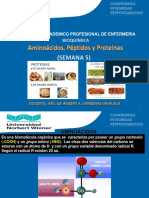 SEMANA 13-15_Aminoacidos Peptidos y Proteinas.pptx