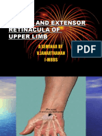 Retinacula of Upper Limb