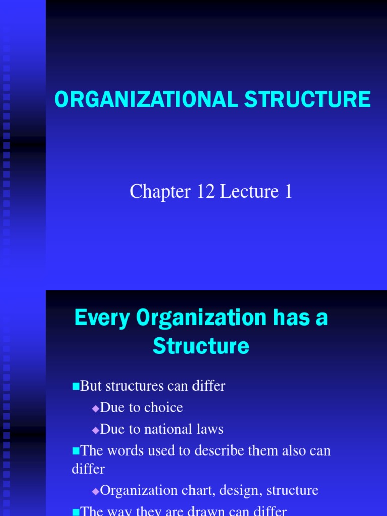 Organizational Structure: Chapter 12 Lecture 1 | PDF | Chief Executive ...