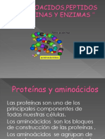 Aminoacidos, Peptidos Enzimas y Proteinas Exposicion Texnicas Del Aprendisaje Trabajo Completo