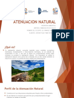 ATENUACION-NATURAL-Adrian-Tame.pptx