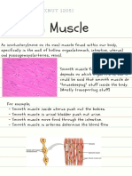 Muscular System 1