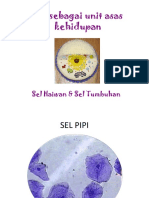 Sel Haiwan Dan Sel Tumbuhan