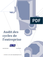 Audit Des Cycle de L'ese PDF