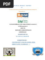 238327795-Big-Bazaar-and-D-mart.pdf