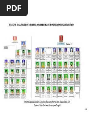 Struktur Organisasi Dan Tata Kerja Dinas Kesehatan Provinsi