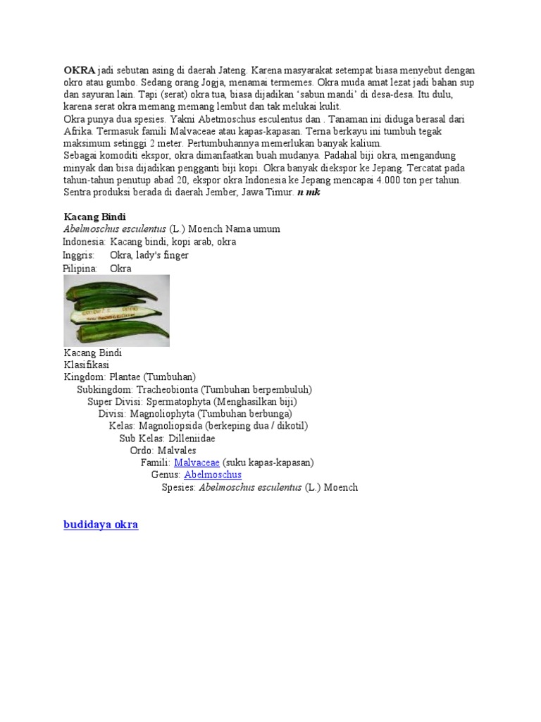 OKRA Jadi Sebutan Asing Di Daerah Jateng OKRA Jadi Sebutan Asing Di Daerah Jateng