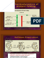 protein folding