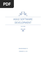 Agile Software Development: Case Study