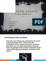 Reproduksi Aseksual Pada Hewan