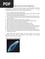 9 Contoh Hewan Invertebrata Beserta Penjelasannya Docx