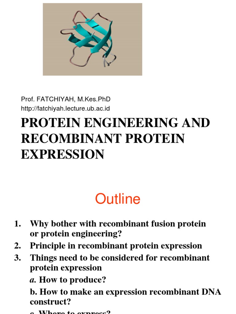 Ekspresi Protein Rekombinan | PDF | Gene Expression | Proteins
