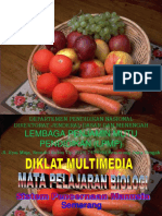 Alat Pencernaan Manusia