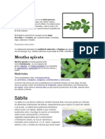 La Moringa