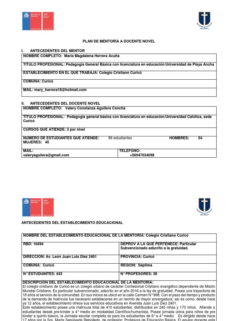 10. FORMATO PLAN DE MENTORÍA.docx Maestros Evaluación