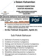 Anemia Dalam Kehamilan New