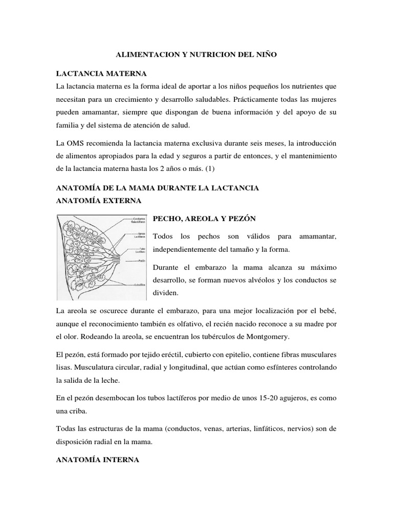 Alimentacion y Nutricion Del Niño | Descargar gratis PDF | Pecho ...