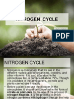 Nitrogen Cycle