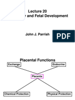 Pregnancy and Fetal Development: John J. Parrish