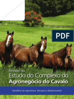 Revisão do Estudo do  Complexo do  Agronegócio do Cavalo - MAPA 2016.pdf