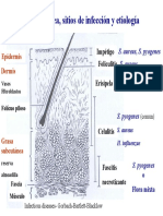 Ippb PDF