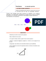 reacciones basicas.pdf