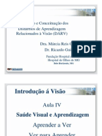 Aula 4 Dr. Ricardo Guimaraes Intro Fundacao Hospital de Olhos Curso Profess Ores Dislexia de Leitura