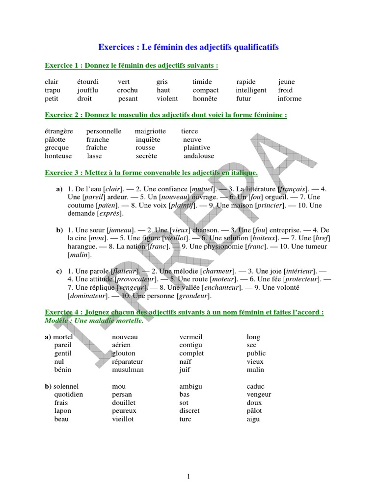 Exercices sur le Féminin et Masculin des Adjectifs Qualificatifs | PDF, image size:768x1024
