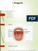 Sistem Pencernaan Mulut Hingga Esofagus
