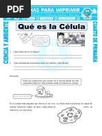 Ficha Que Es La Celula para Cuarto de Primaria
