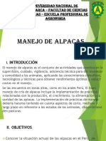 Manejo de Alpacas