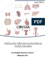 Cirugía práctica #6: Taller de suturas manuales