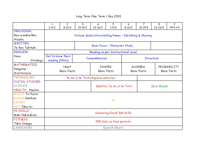 Long Term Plan1 | PDF