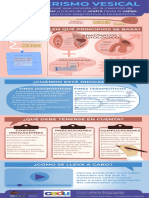 Infografía Del Procedimiento - Cateterismo Vesical