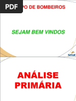 Análise Primária